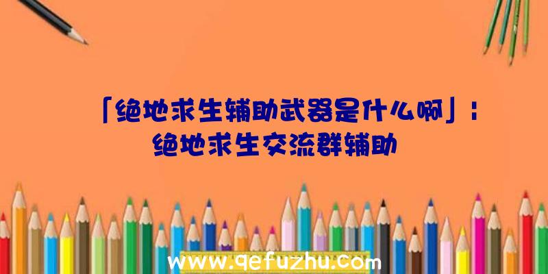 「绝地求生辅助武器是什么啊」|绝地求生交流群辅助